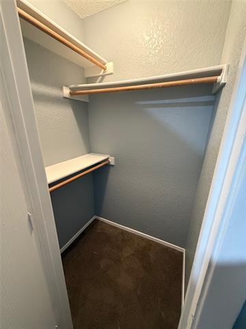 Building Photo - 1713 San Rafael St