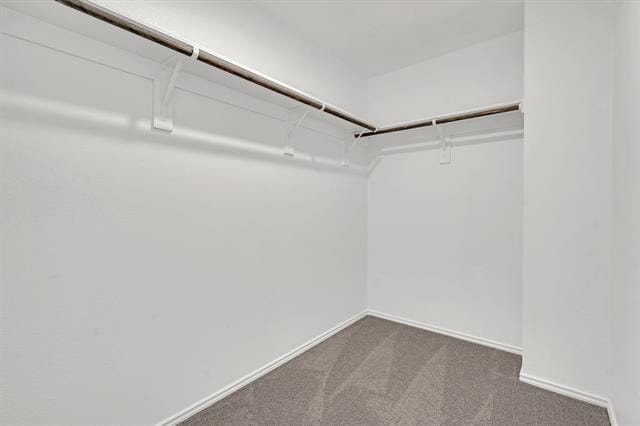 Building Photo - 135 Sienna Dr