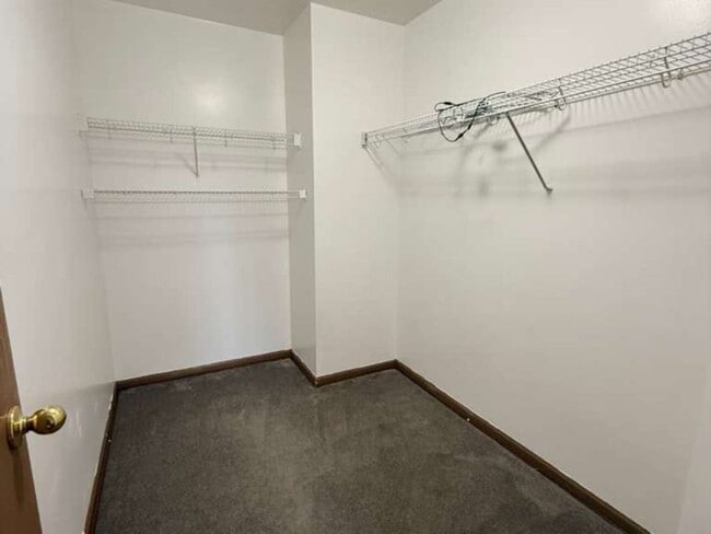 Building Photo - 345 Abington Woods Dr