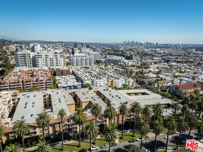 Building Photo - 1730 Camino Palmero St