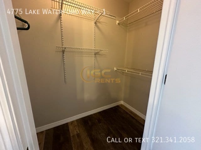 Building Photo - 4775 Lake Waterford Way