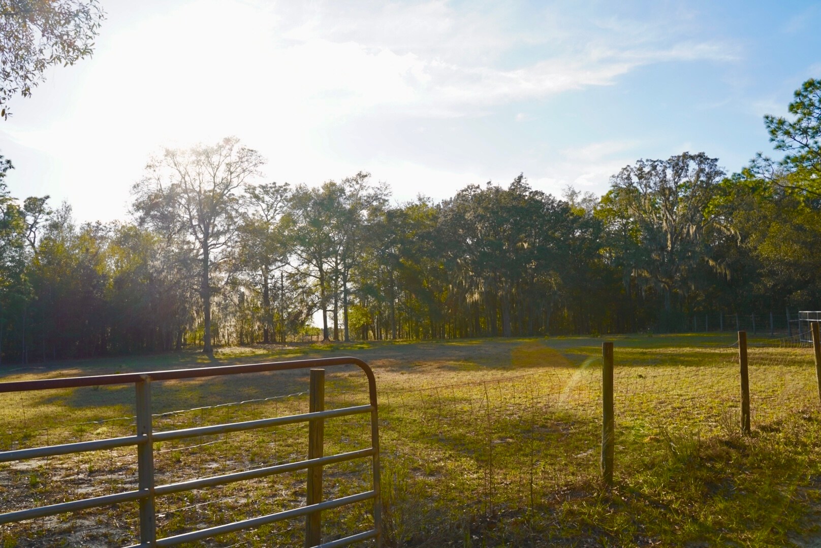Building Photo - 29205 Saddle Oaks Ln