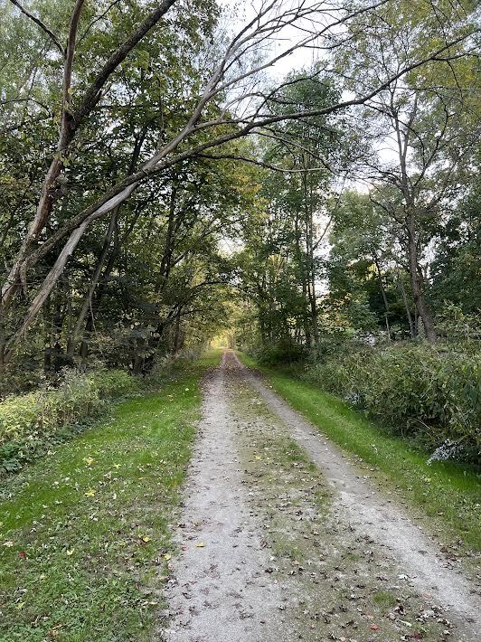 Trail - 662 River Rd