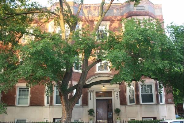 Tree-lined street east of Wrigley Field - 3801 N Wilton Ave