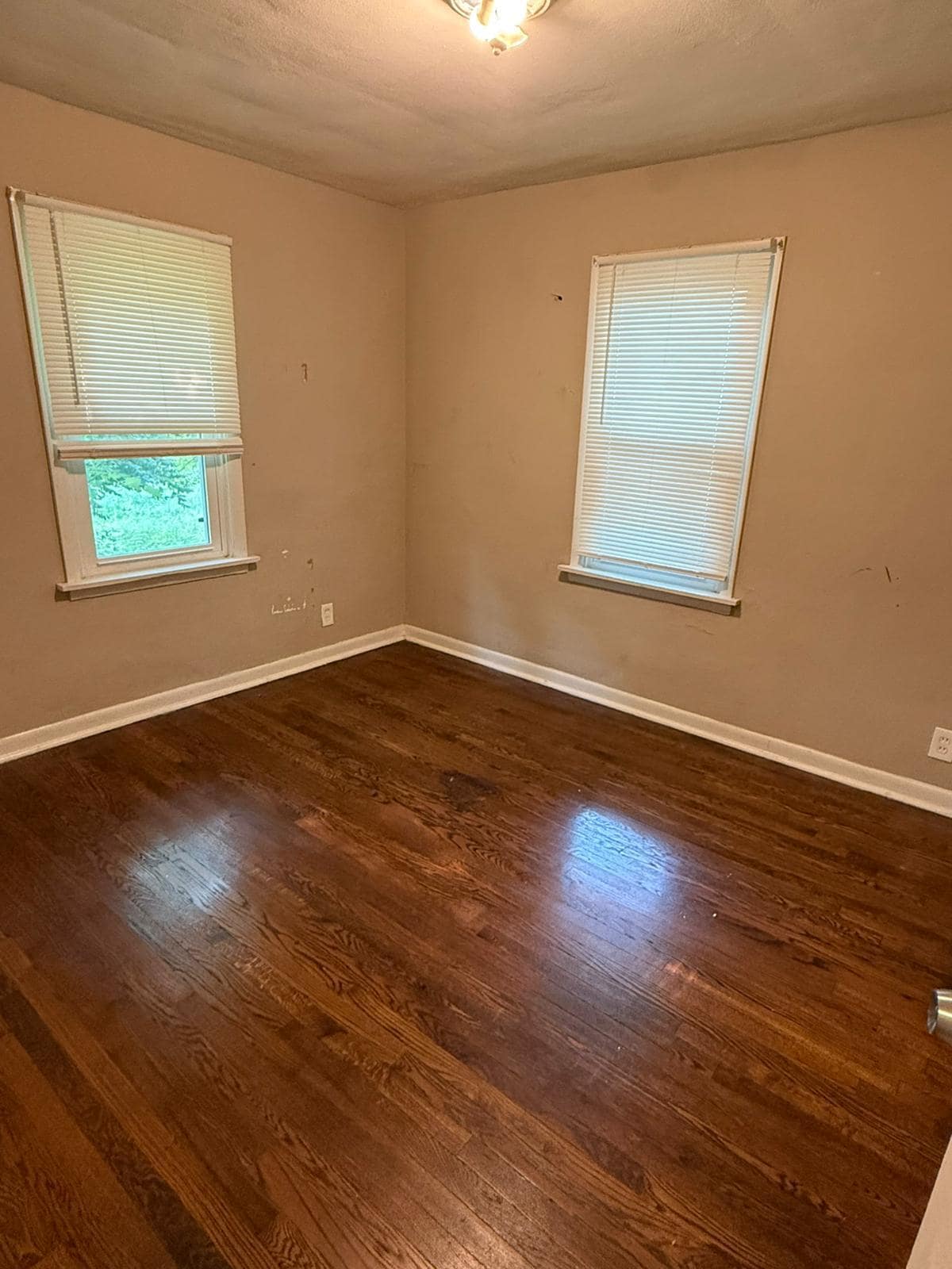 Building Photo - 531 Ames Pl