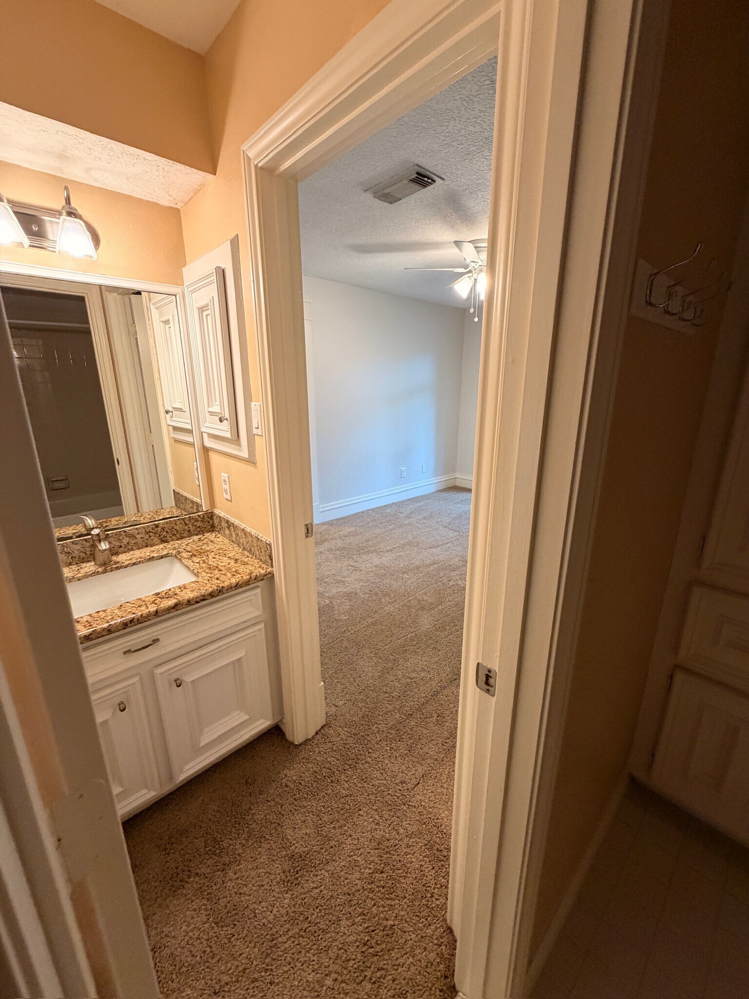 Building Photo - 6035 Spring Creek Grove Ln