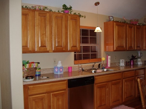 Building Photo - 2 Bedroom, 2 Bath, Garage, Appliances Included, VERY Nice