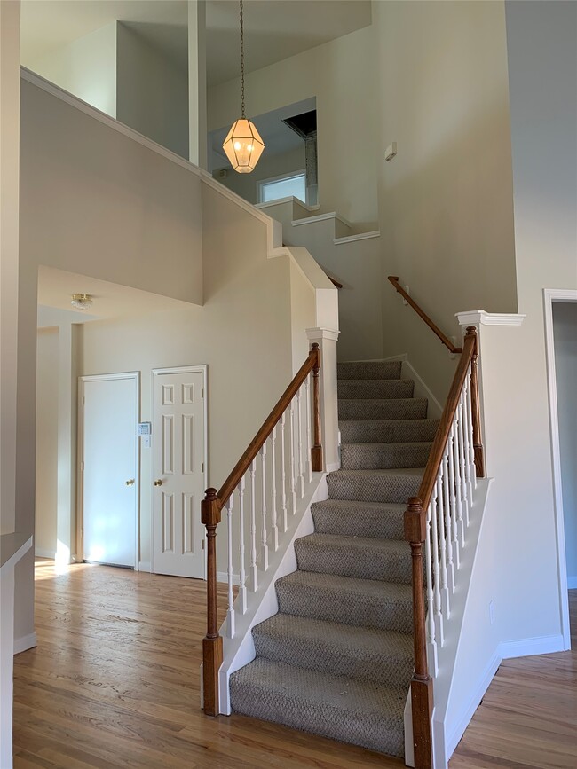 Building Photo - 12203 Meadow Ln Ct