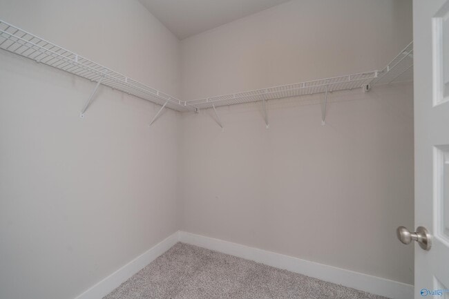 Building Photo - 1826 Anise Cir