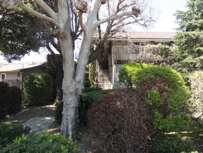 Building Photo - Carmel Valley Condo