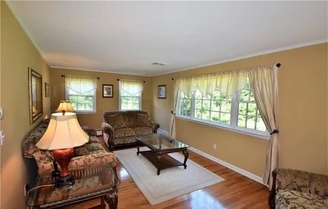 Living Rm - 25 Shelter Rock Rd