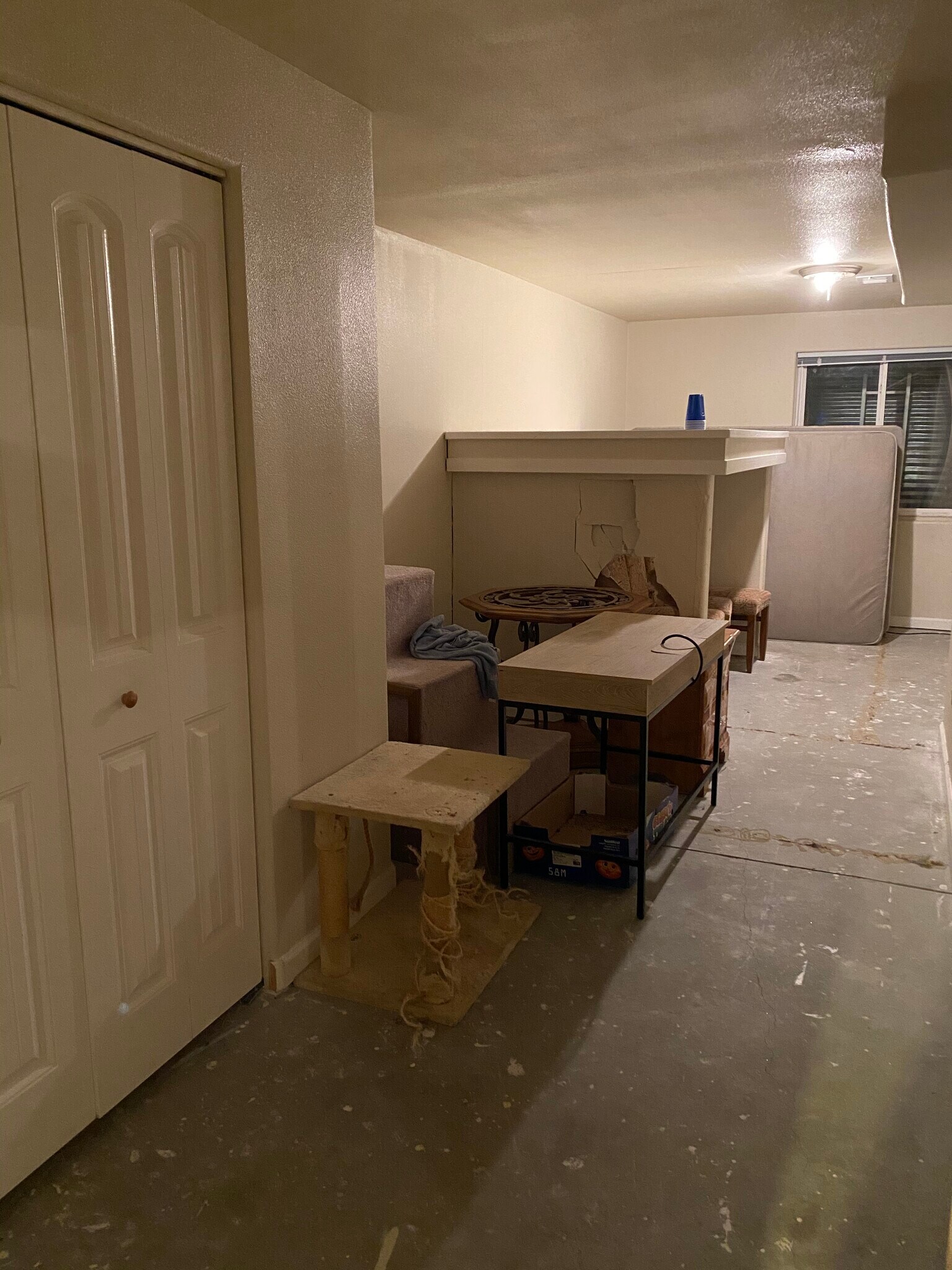 Basement - 3761 Mt Flora St