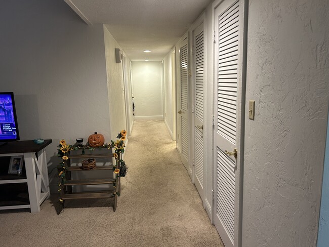 Hallway - 3048 Camelot Dr