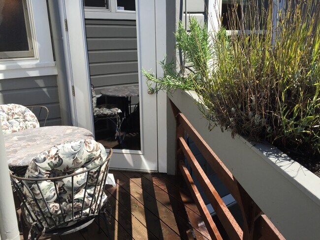 private patio - 131 Steiner St