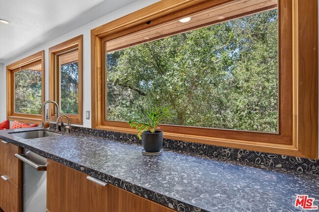 Building Photo - 1738 Topanga Skyline Dr