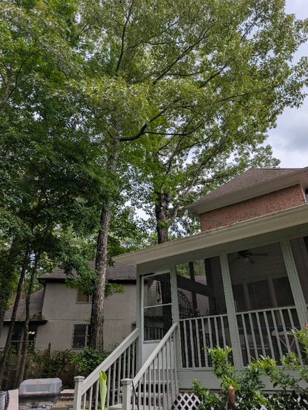 Building Photo - 1009 Saddlecreek Pkwy