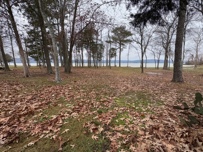 Primary Photo - 276 Star Point Rd