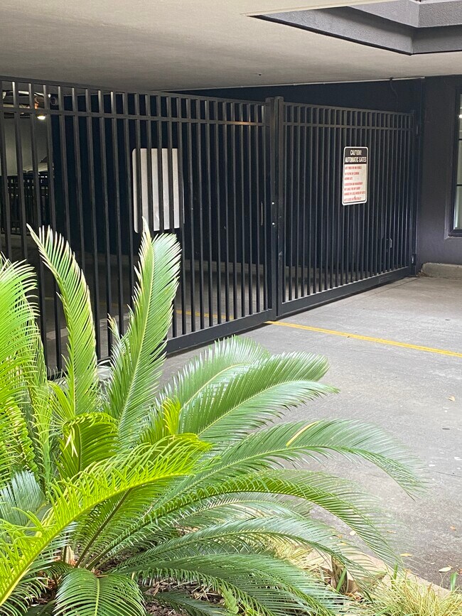 Garage entrance - 21 George St