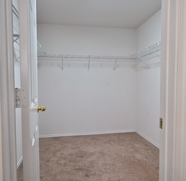 Building Photo - 7404 Loyalist St
