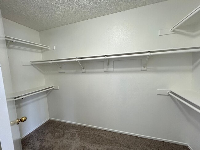 Building Photo - No HOA! 4 Bedroom 2.5 Bath with Pool!