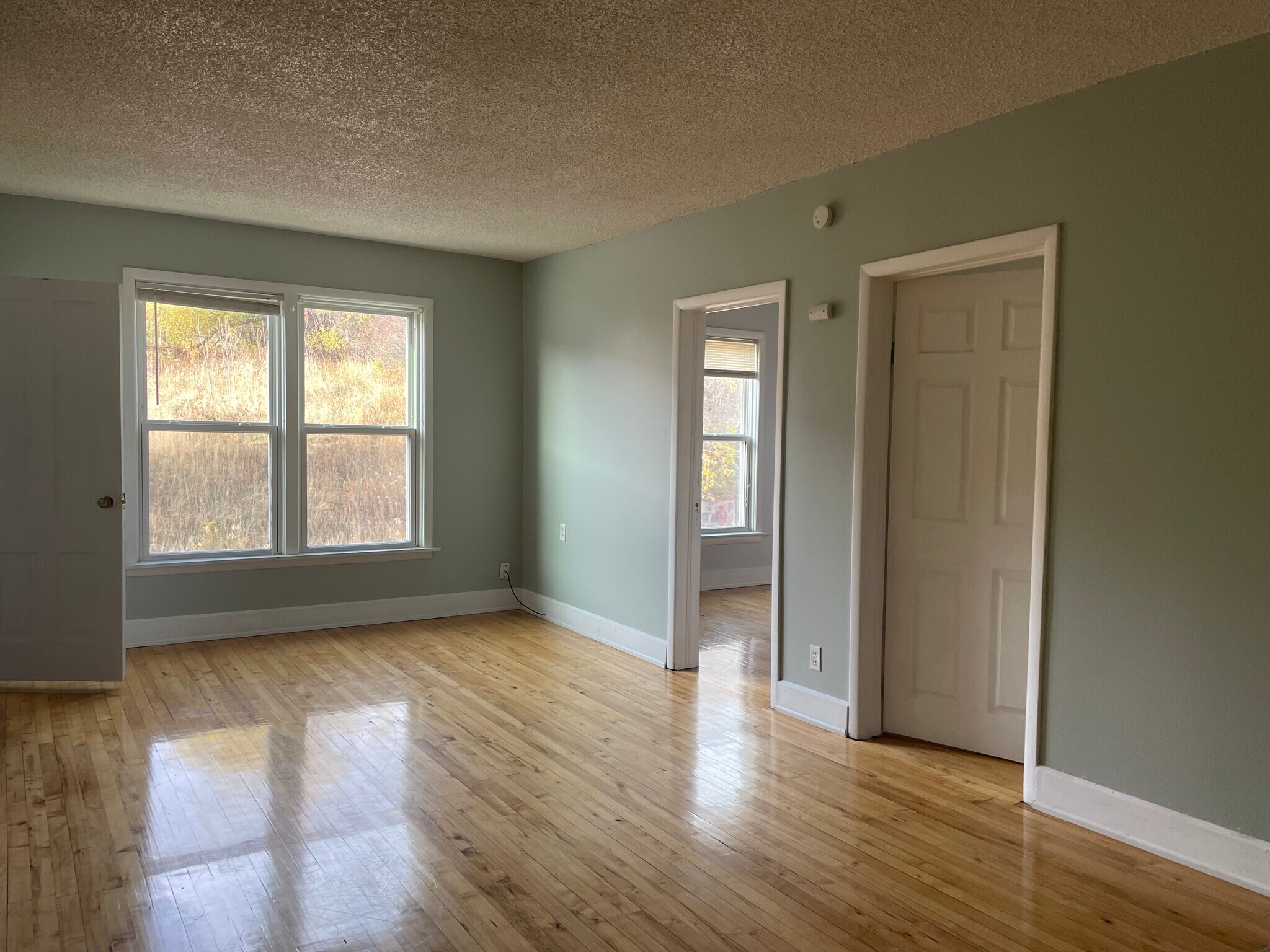 202 1/2 living room - 204 E 4th St