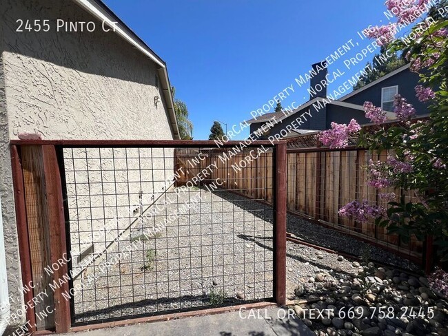 Building Photo - 2455 Pinto Ct