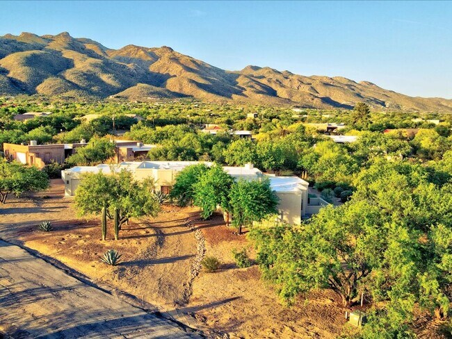 Building Photo - 4 Bedroom 4 Bathroom