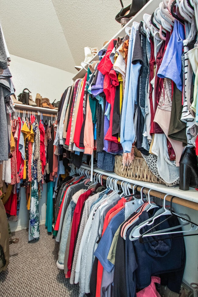 Building Photo - 12504 Sun Flare Dr