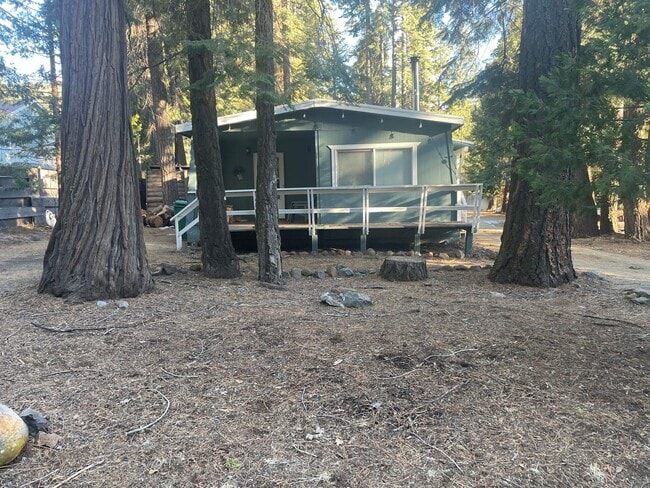 Building Photo - COZY CABIN ON THE LAKE
