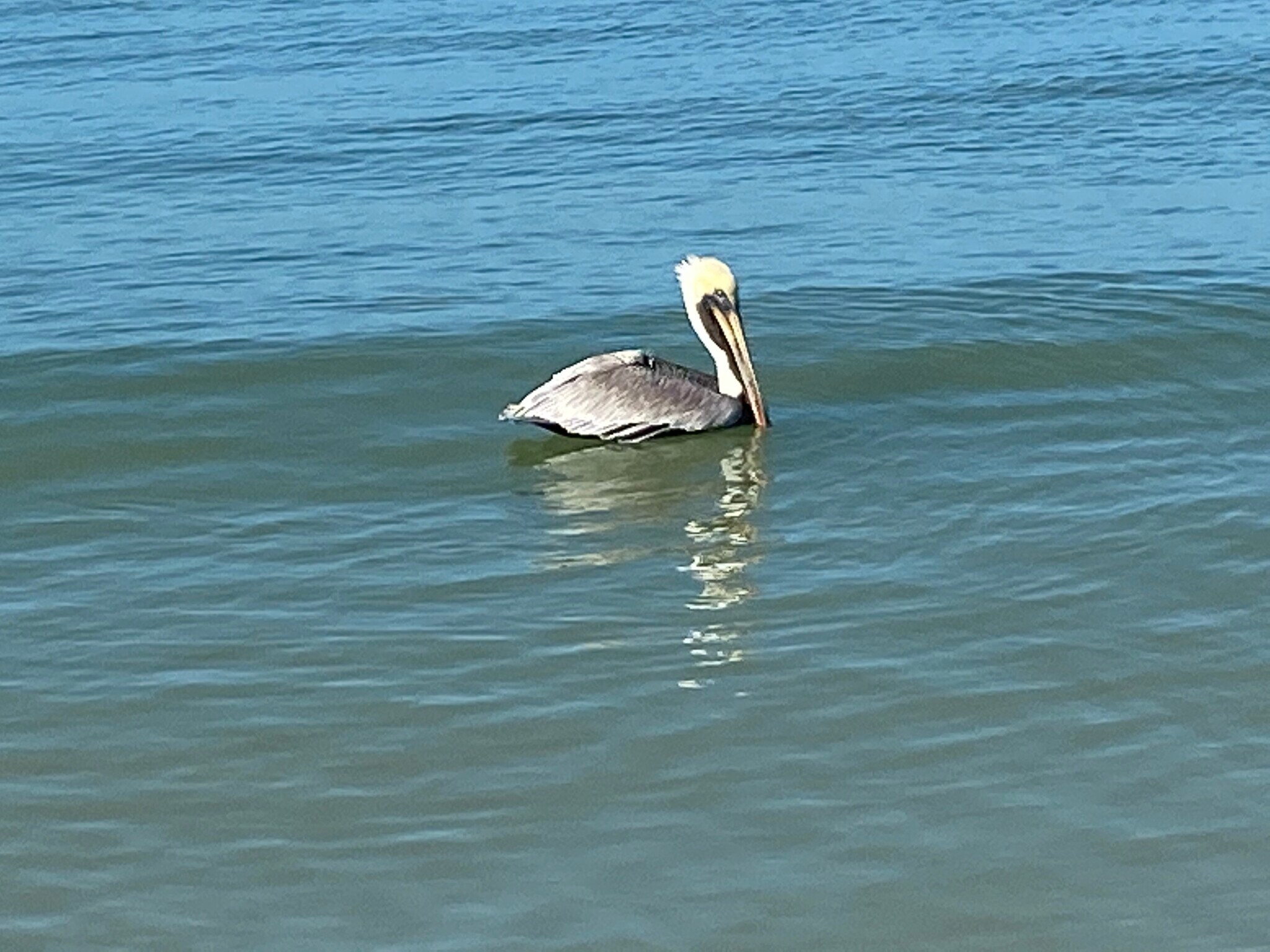 Building Photo - 26171 Hickory Blvd