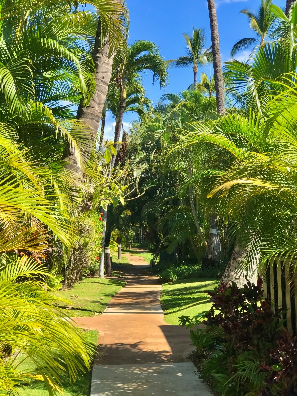 Building Photo - 777 S Kihei Rd