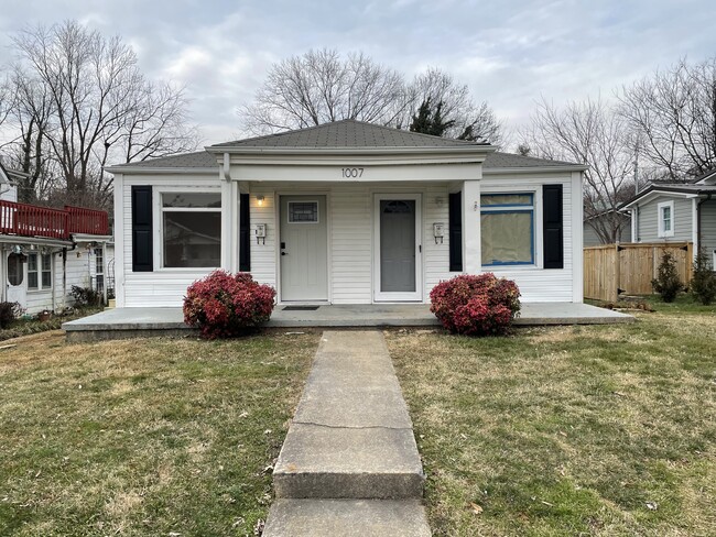 Cozy side-by-side duplex - 1007 E Unaka Ave