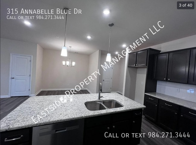Building Photo - 315 Annabelle Blue Dr