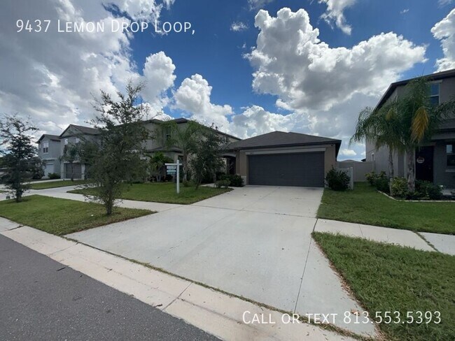 Building Photo - 9437 Lemon Drop Lp