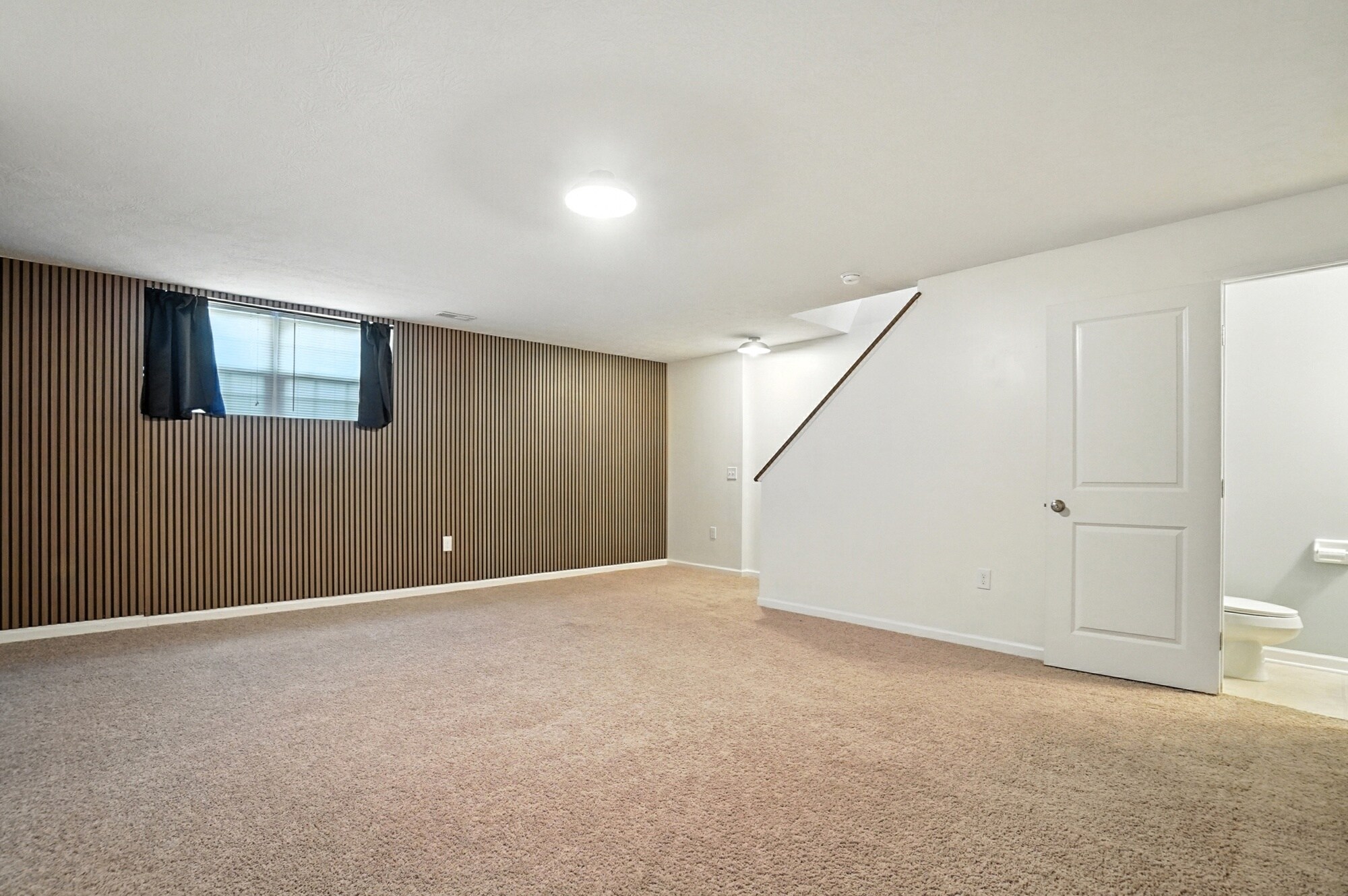 Basement - 6169 Needletail Rd