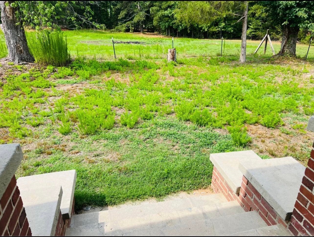 Building Photo - 1278 Valley Ct