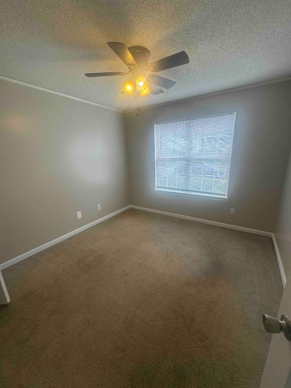 Building Photo - 210 Chadwyck Cir