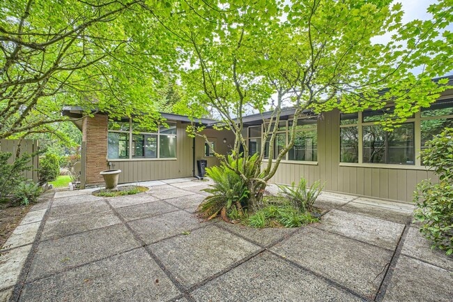 Building Photo - 4Bd/3.5Ba Medina House