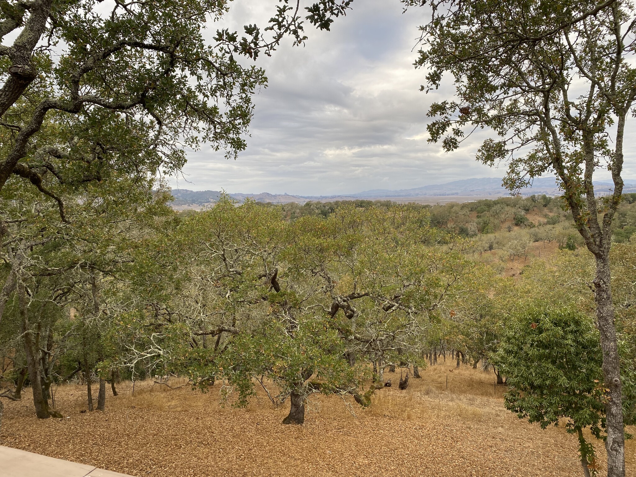 unobstructed view - 2512 Laguna Vista Dr