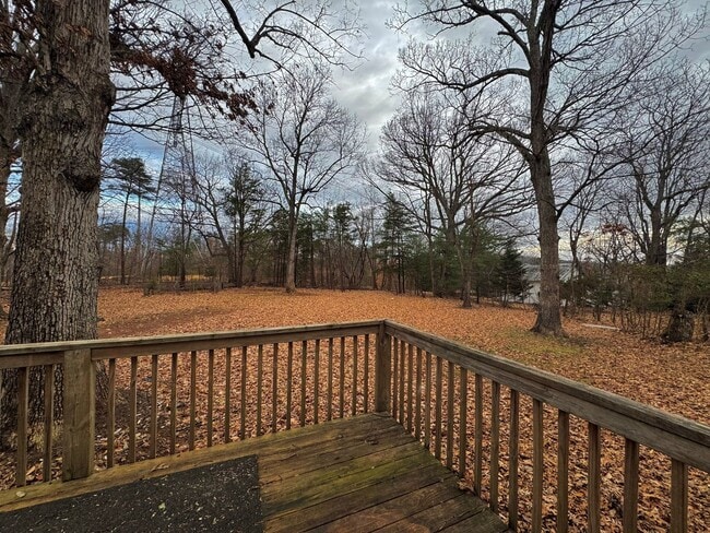Building Photo - Beautiful Home in Campbell County