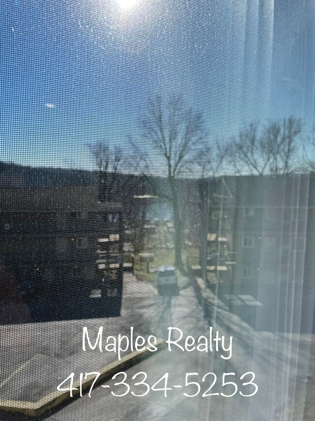 Building Photo - Stunning 2 bedroom, 2 bathroom condo for rent in downtown, Branson MO