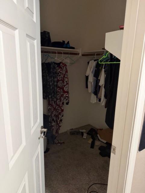 Building Photo - 37262 W Oliveto Ave