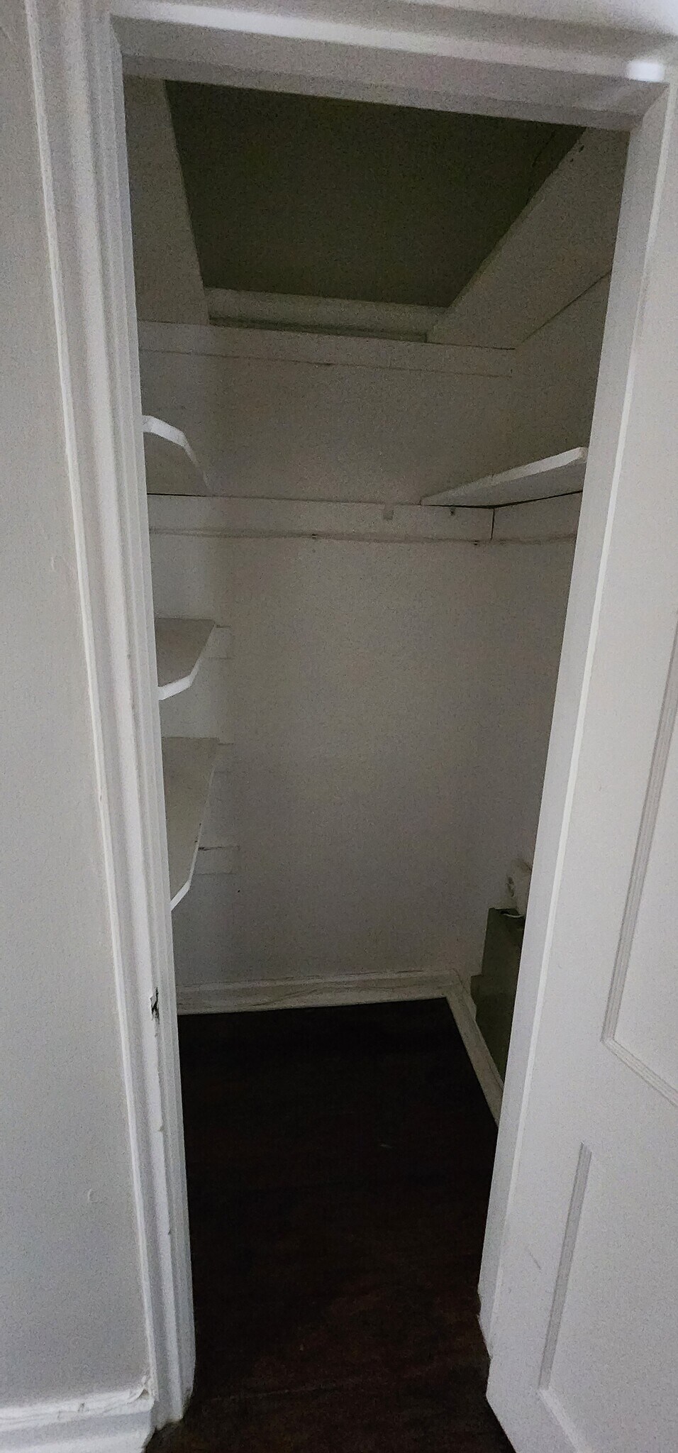 Hall closet - large with shelving - 415 Willow Ln