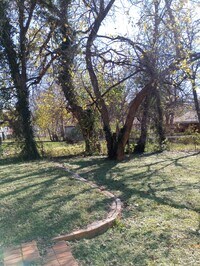 Building Photo - 1214 Adelaide Dr