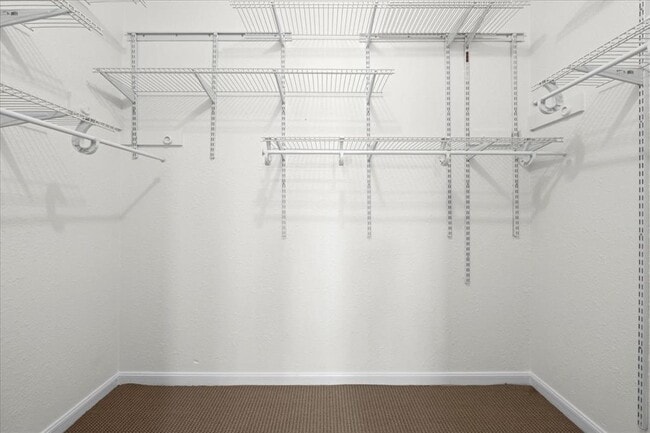 Building Photo - 1604 Cinnamon Path