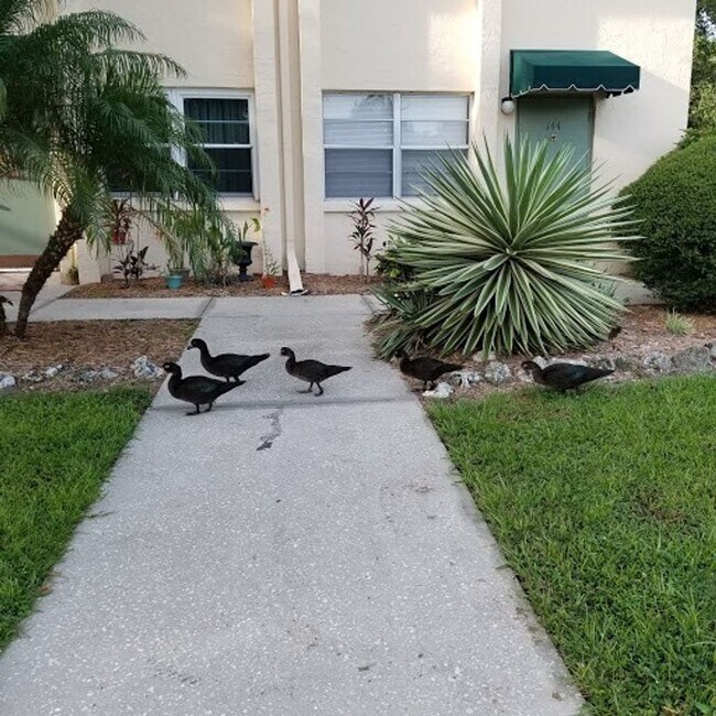 Building Photo - NEW PRICE / Summer Lakes-N Tamiami Trail
