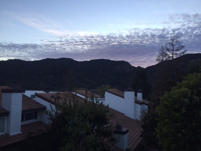 Building Photo - 17113 Palisades Cir