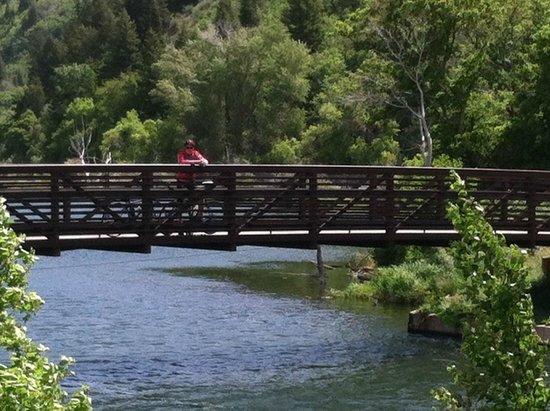 Provo River Trail - 724 W 1720 N