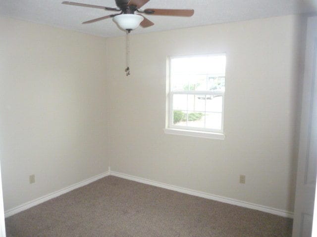 Building Photo - Newly Remodeled