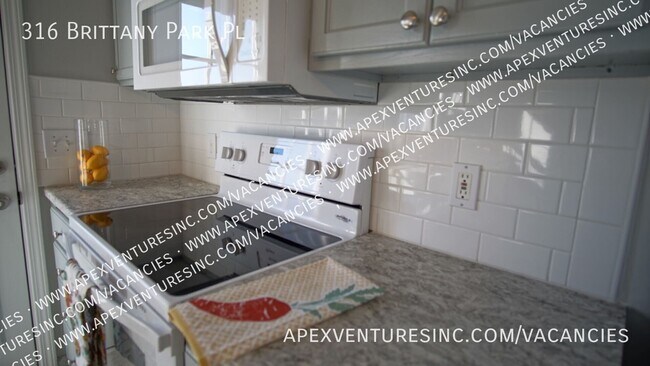Building Photo - 316 Brittany Park Pl